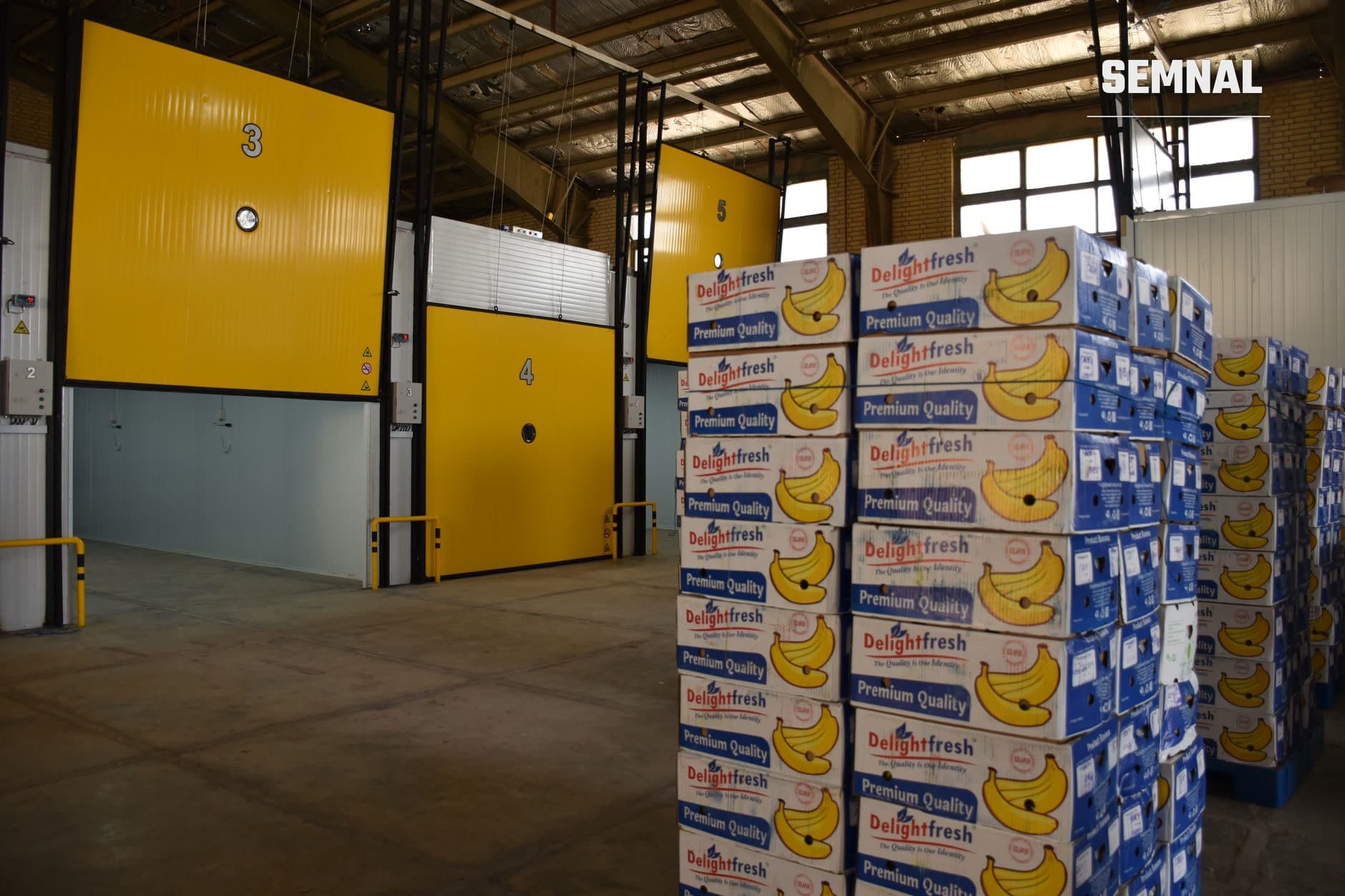 Depozit frigorific cu palete de cutii de banane Delightfresh stivuite pe rafturi, cu uși de cameră de refrigerare galbene în fundal, în spațiu industrial organizat. (Foto: میوه پرداز پویا / Pexels)