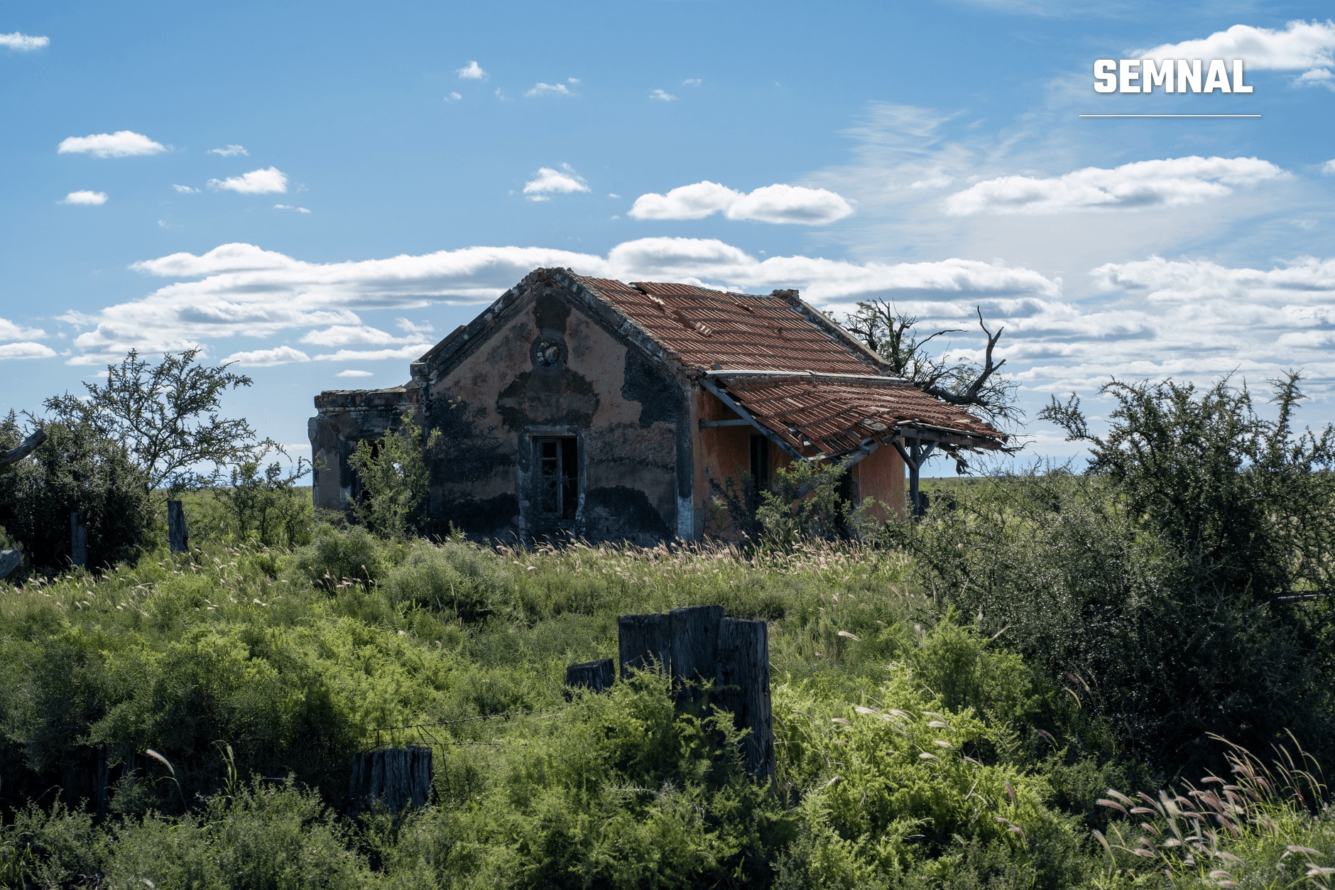 Casă ruinată cu acoperiș parțial distrus în peisajul rural desolat al unui sat moldav abandonat, cu vegetație sălbatică și marcatori de lemn uzați în jur. (Foto: Tomás Asurmendi / Pexels)