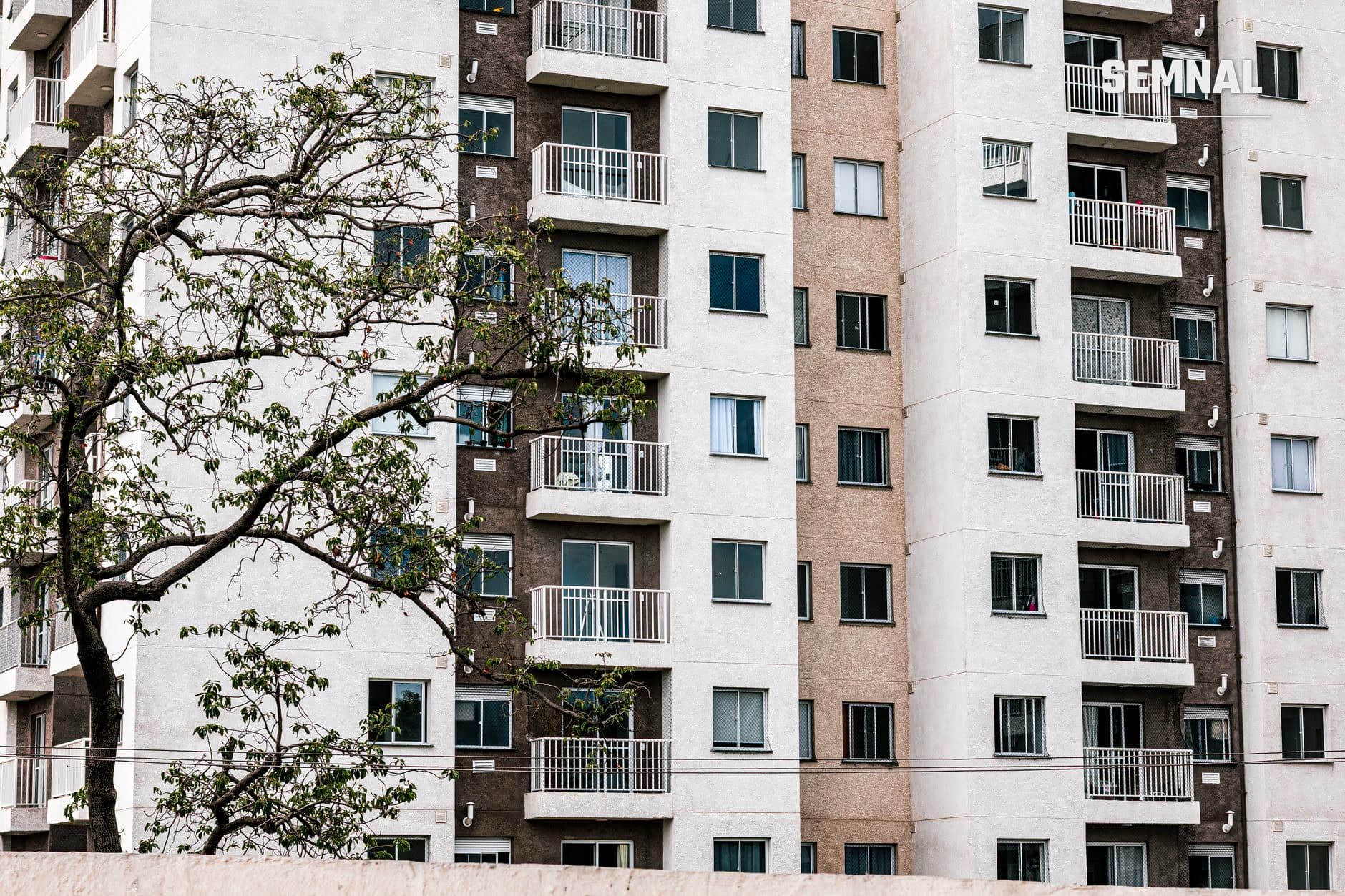 Bloc de apartamente cu fațadă din cărămidă și beton, ferestre și balcoane metalice, stradă în zona urbană cu copac geros și linii electrice. (Foto: Juan Pablo Daniel / Pexels)