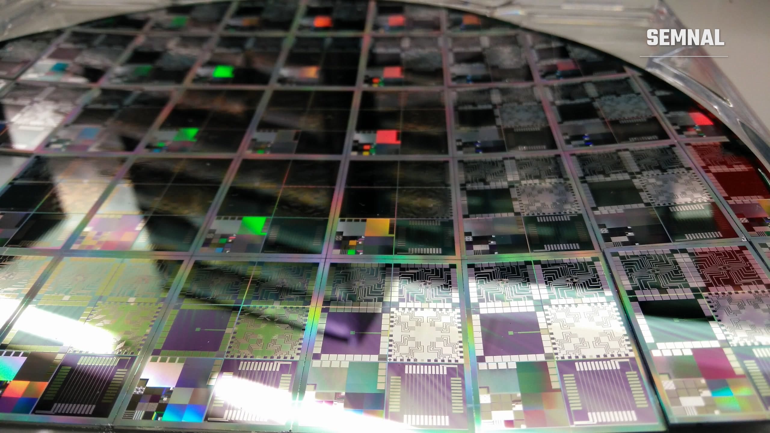Detaliu macro al unui wafer de siliciu cu mai multe cipuri semiconductoare, cu circuite integrate colorate vizibile pe suprafață