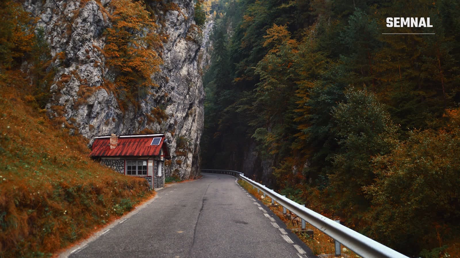 Drum de munte șerpuit printr-o pădure cu frunze aurii și roșiatice de toamnă, în zona Dâmbovicioara, România
