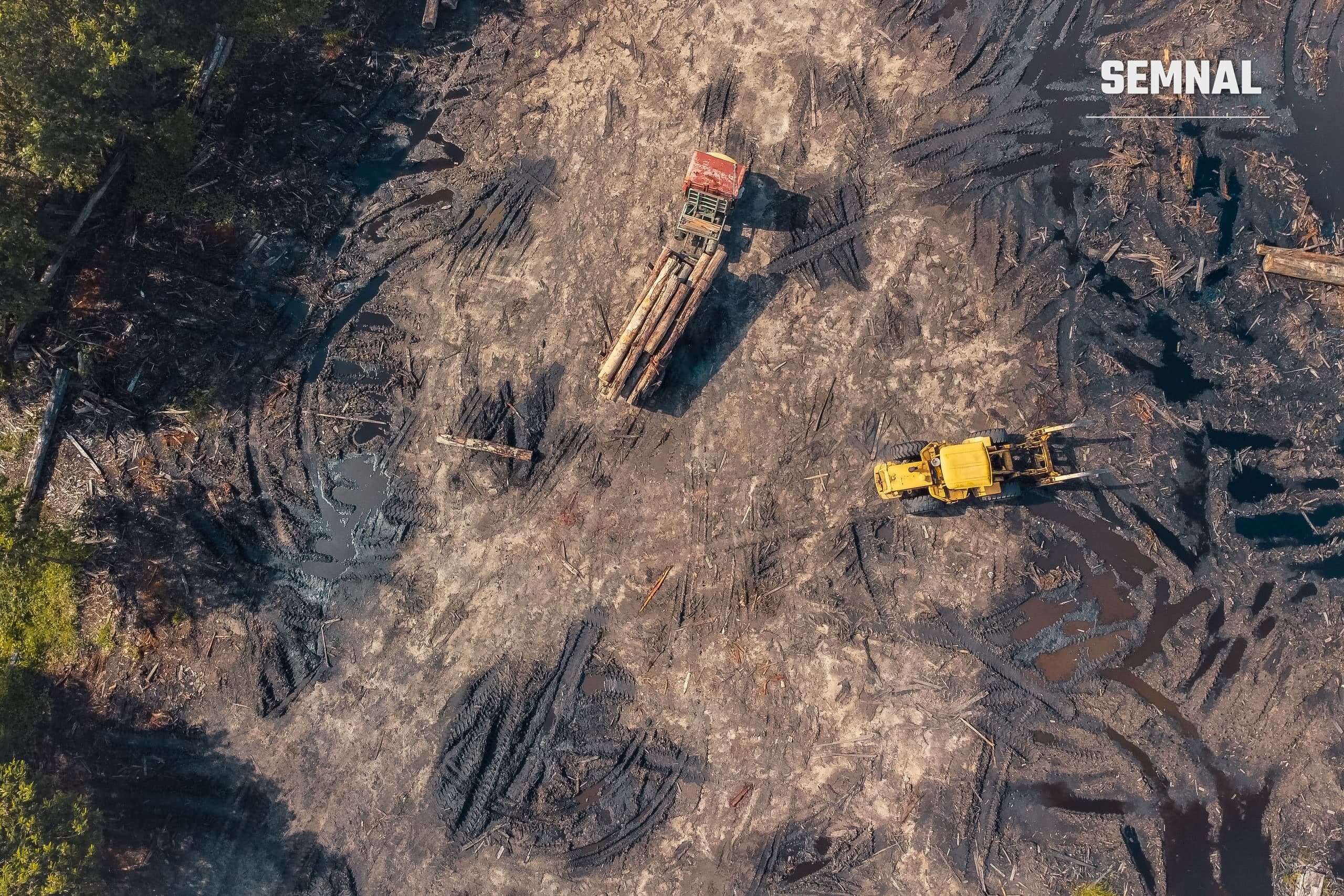 Vedere aeriană a unui camion încărcat cu bușteni, pe un drum forestier