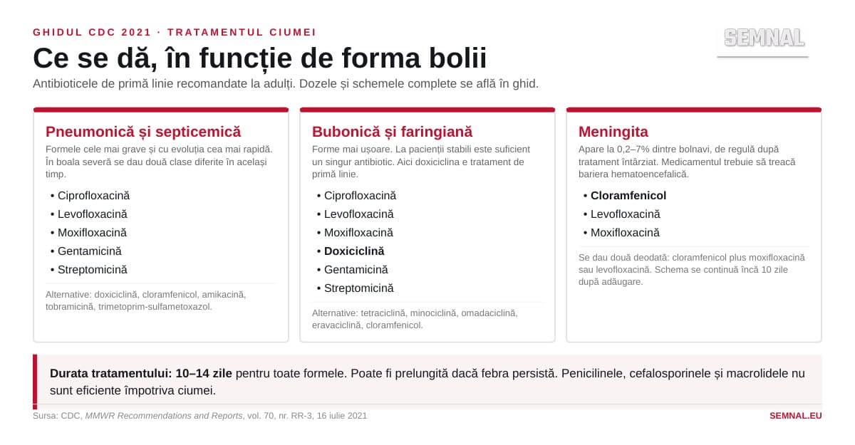 Infografic cu antibioticele de primă linie recomandate de CDC pentru fiecare formă clinică a ciumei: pneumonică, bubonică și meningită