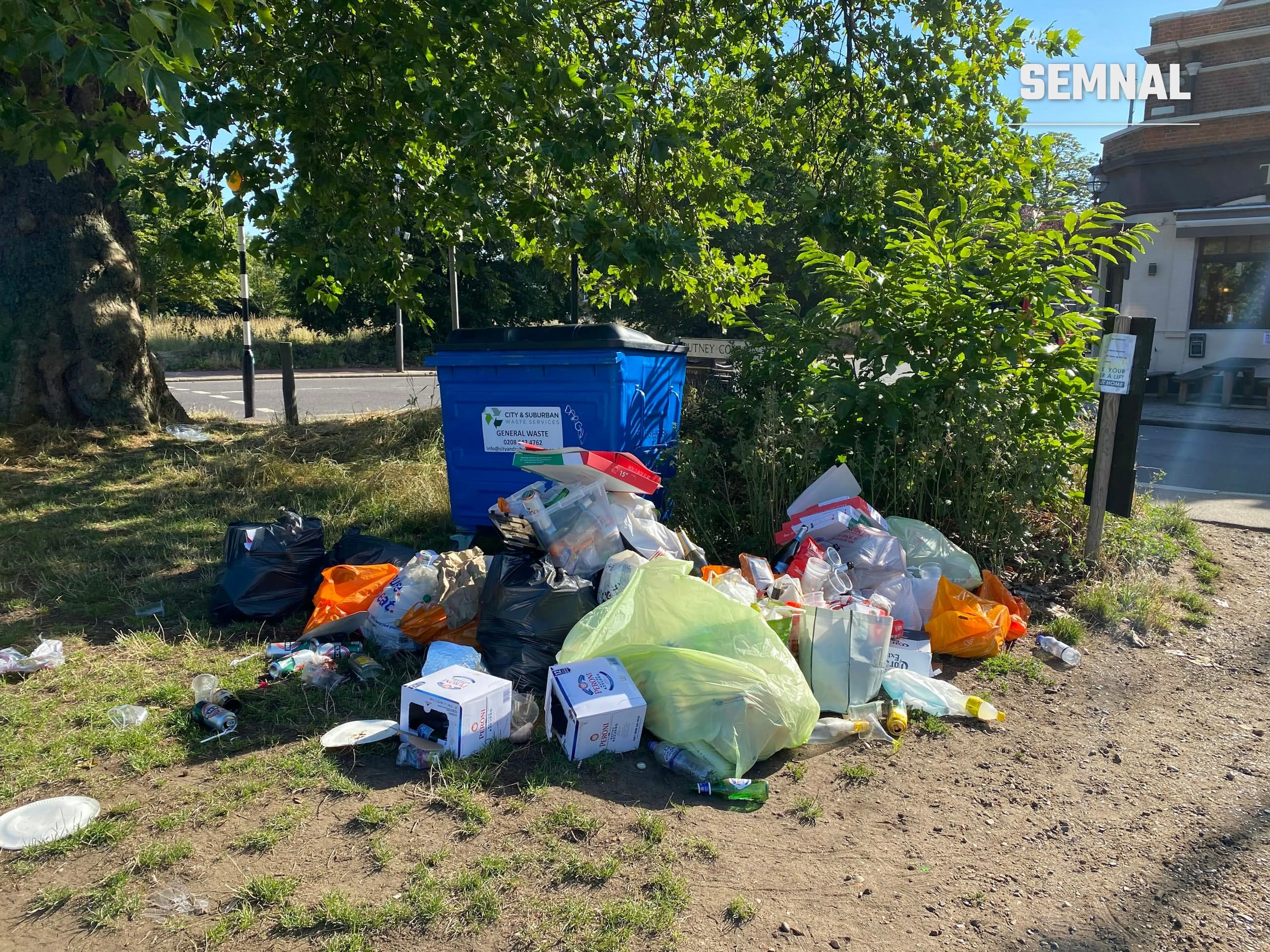 Grămadă de gunoaie și pungi de plastic abandonate lângă un container, imagine ilustrativă pentru articolul despre mizeria din spațiul public și apariția rozătoarelor