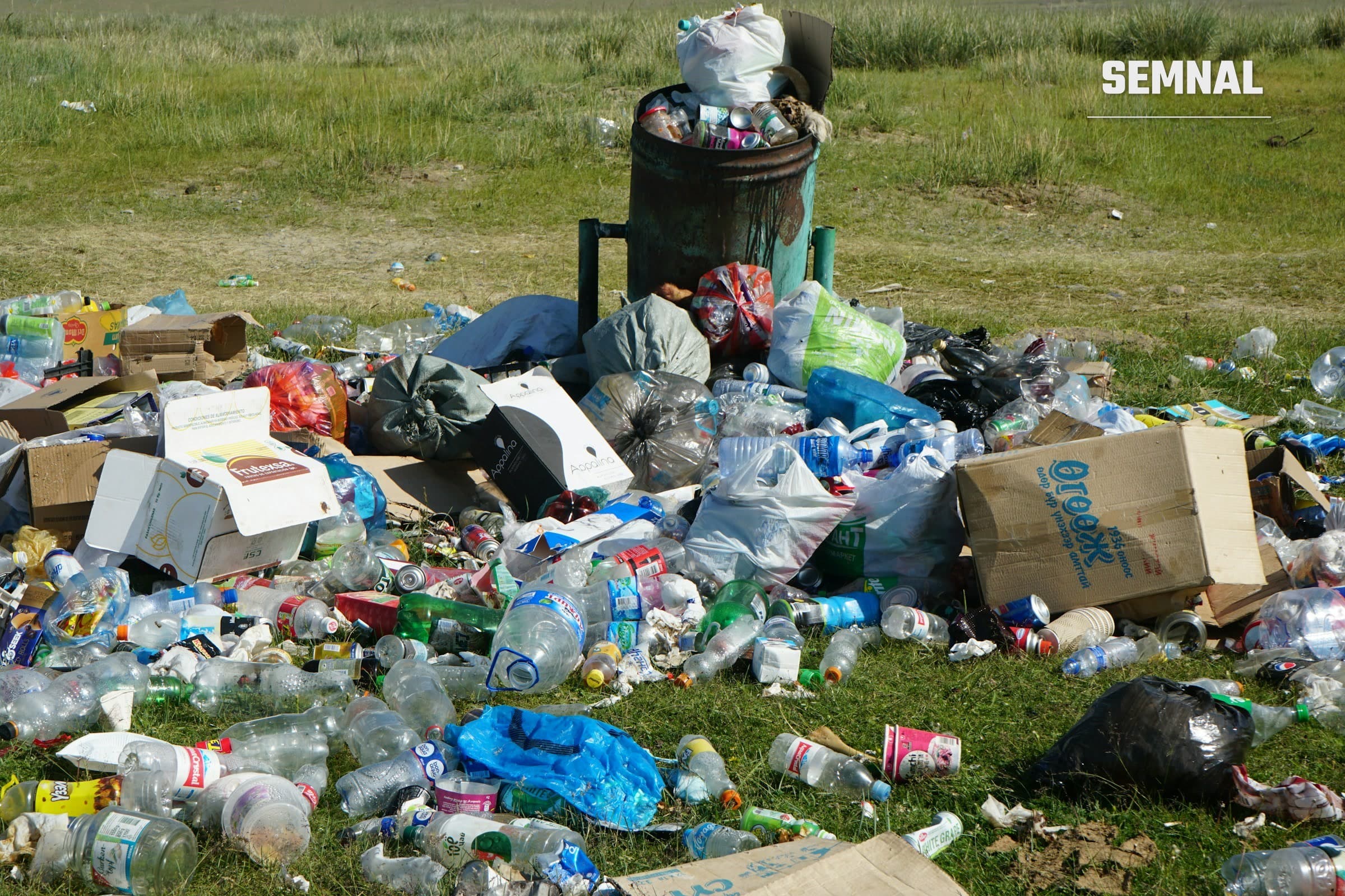 Deșeuri și sticle din plastic împrăștiate pe iarbă în jurul unui coș de gunoi plin, imagine ilustrativă.