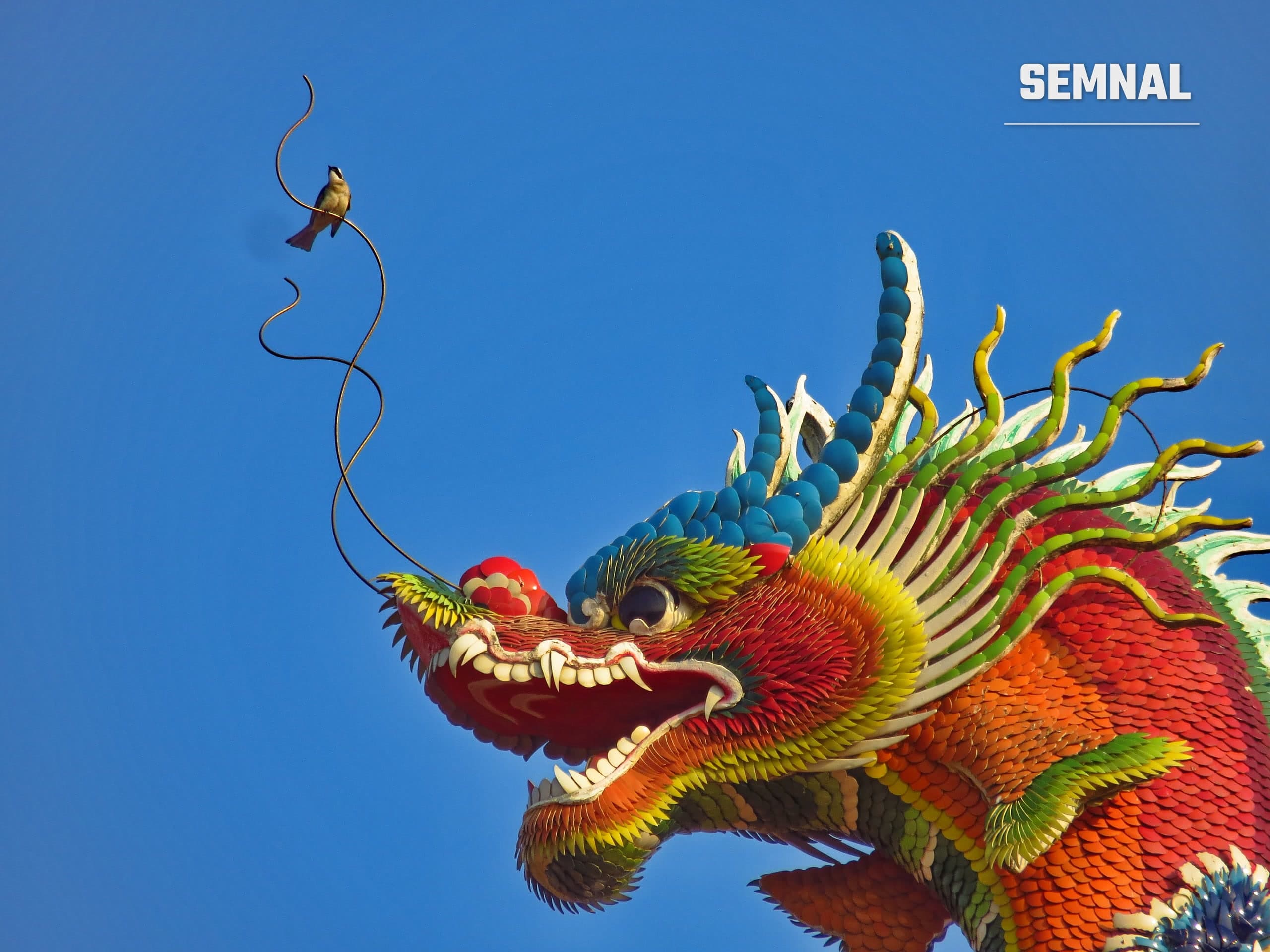 Cap de dragon sculptat pe acoperișul unui templu din Taiwan, pe fundal de cer senin (Foto: Mk2010 / Wikimedia Commons, CC BY-SA 3.0)