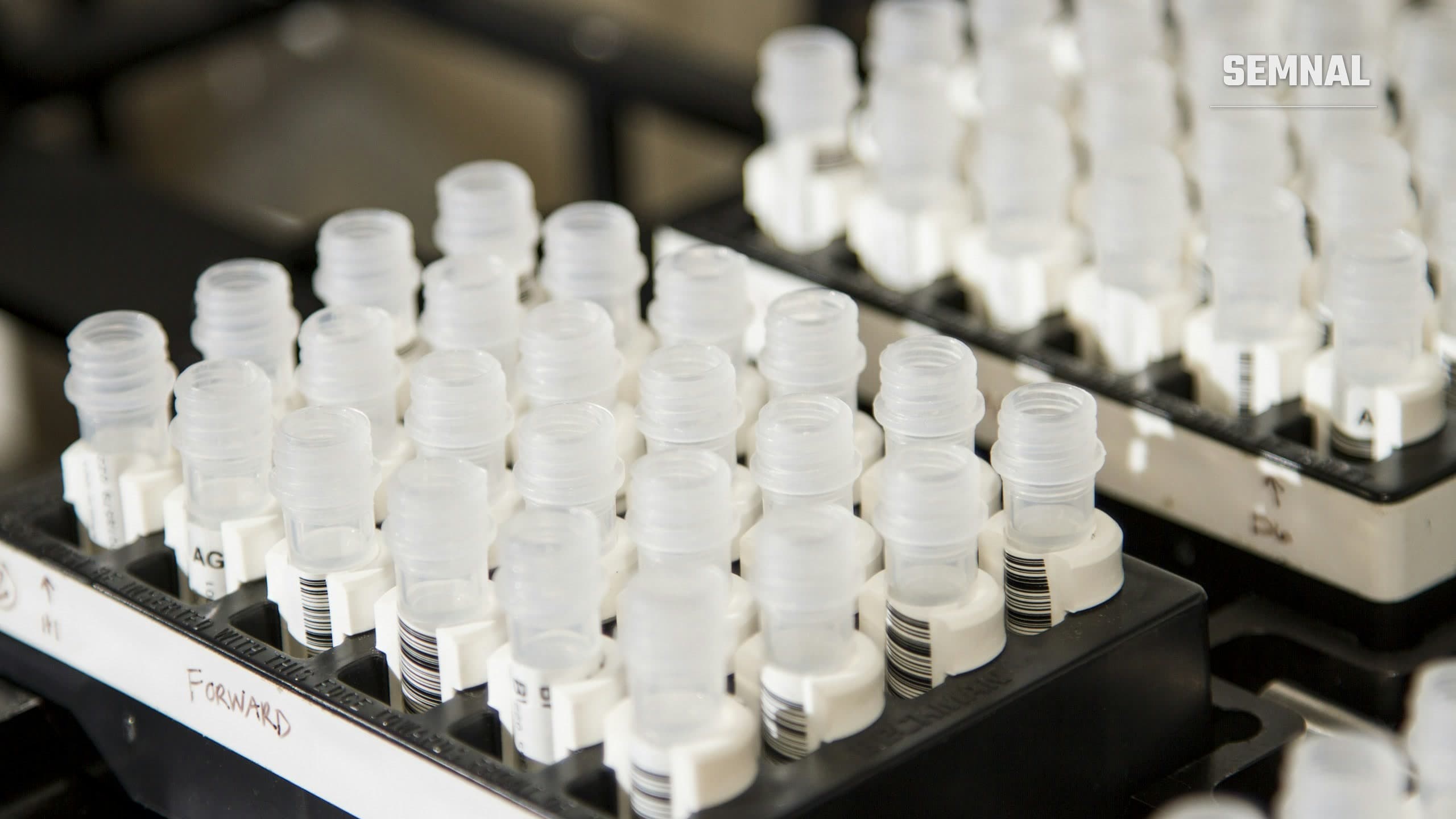 Fiole transparente etichetate cu coduri de bare, așezate în rafturi negre, pentru probe de ADN într-un laborator de genetică