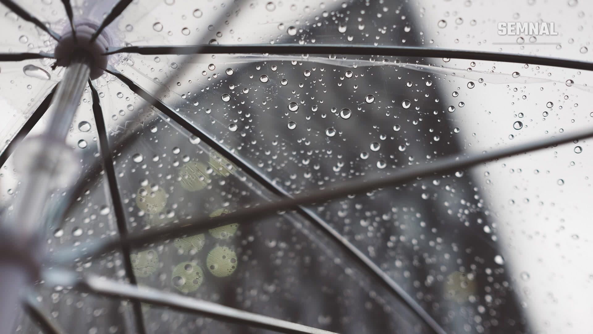 Picături de ploaie pe o umbrelă transparentă, fotografie ilustrativă (Foto: freddie marriage / Unsplash, CC0)