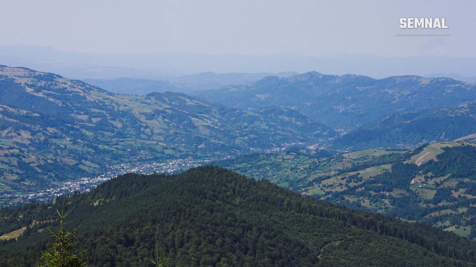 Vedere de pe munte asupra comunei Poienile de sub Munte, așezată în valea Ruscovei, între dealuri împădurite din Maramureș