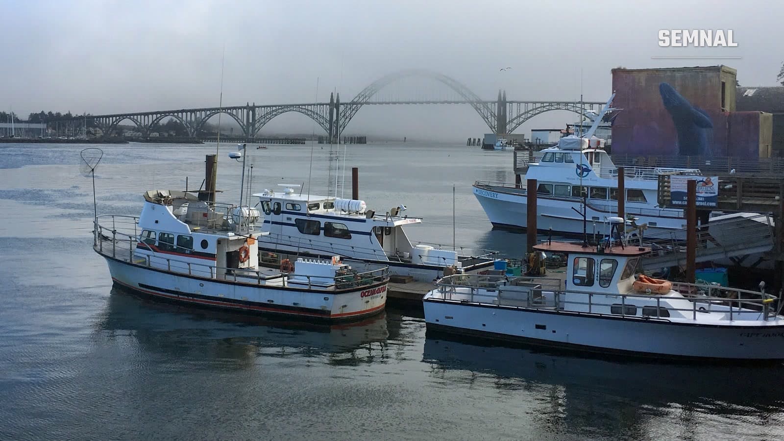 Bărci de pescuit ancorate în portul din Yaquina Bay, Newport, Oregon, cu podul în arc învăluit în ceață în fundal
