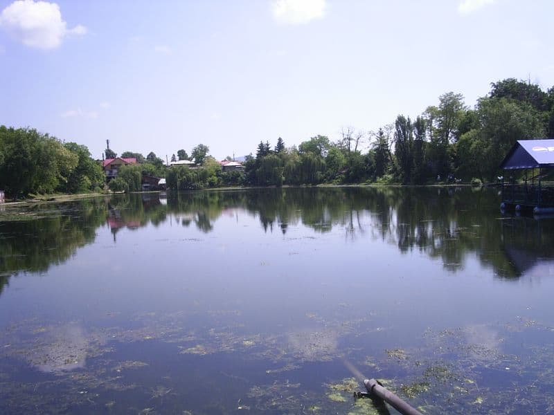 Balta care „fură” bărbați tineri