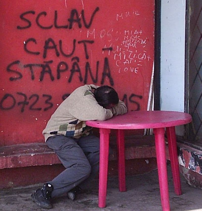 Amor de cocălar