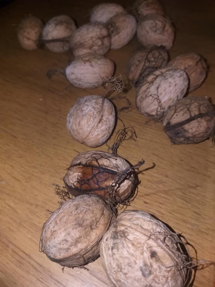 Cum m-au „bronzat” 458 de nuci verzi