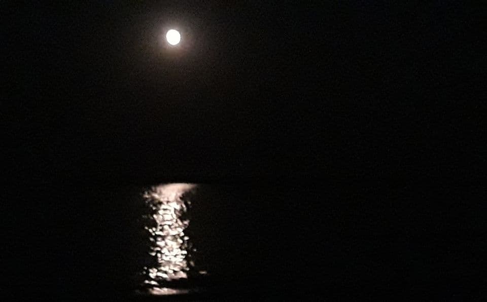 Cartea cu un înger ghemuit