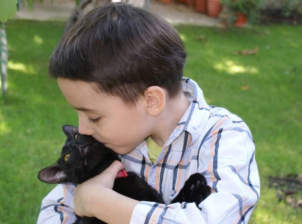 Nu lăsa pe nimeni să te pună la colț!