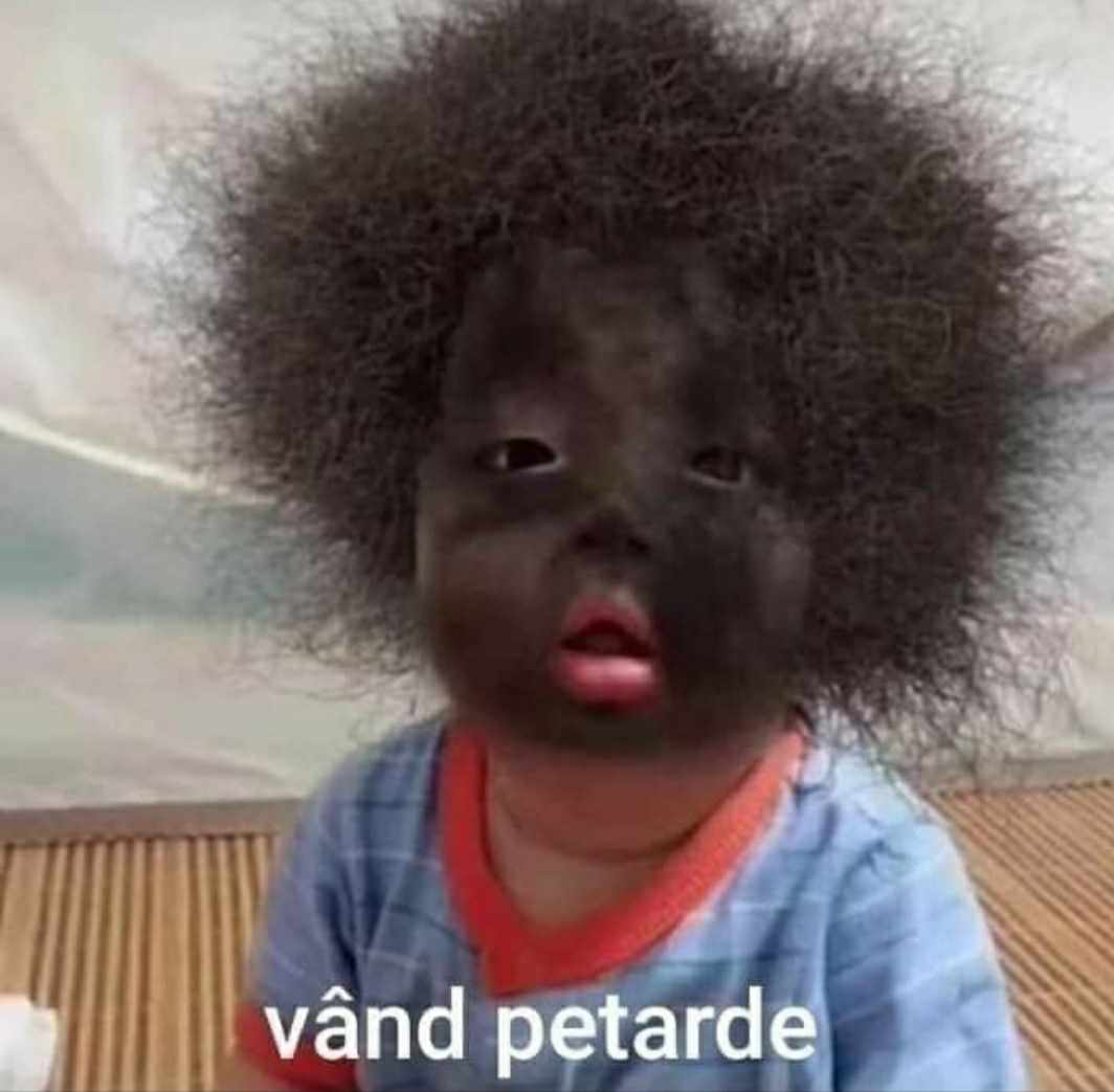 Petarda
