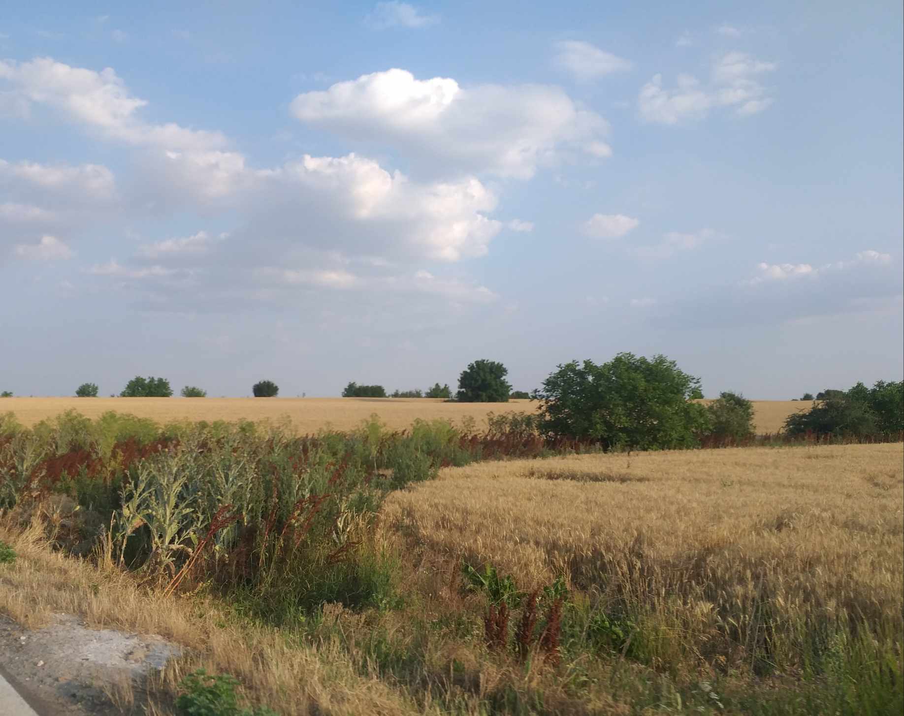 Vine un timp nou în care tu nu mai încapi