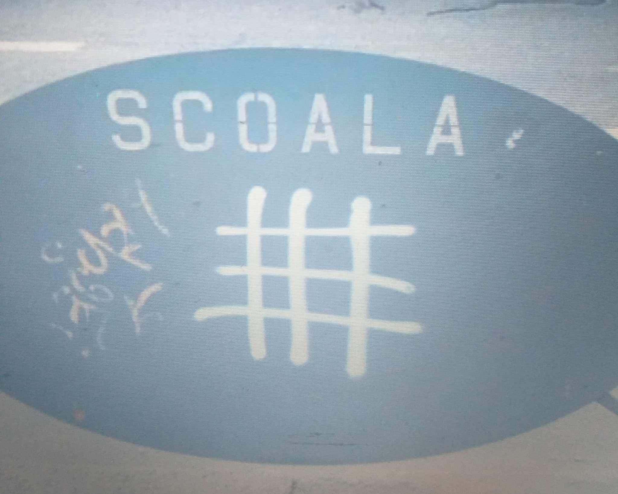Simbolurile Mișcării Legionare și ale Gărzii de Fier, interzise prin lege în România, sunt desenate pe panouri rutiere, semne de circulație și alte obiecte publice, inclusiv în apropierea unor școli, licee și campusuri universitare