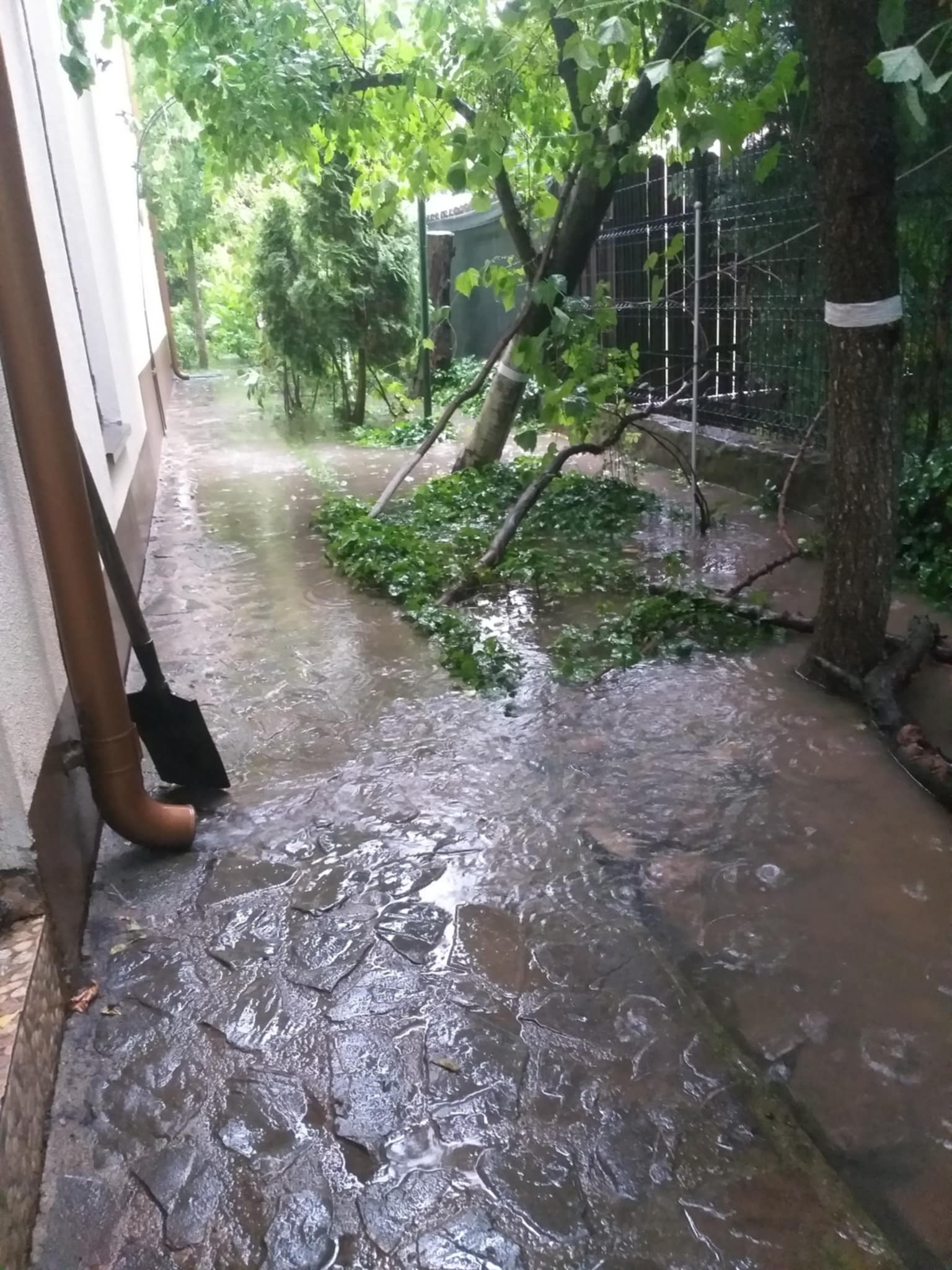 A plouat în București? „Nicușor e de vină!”