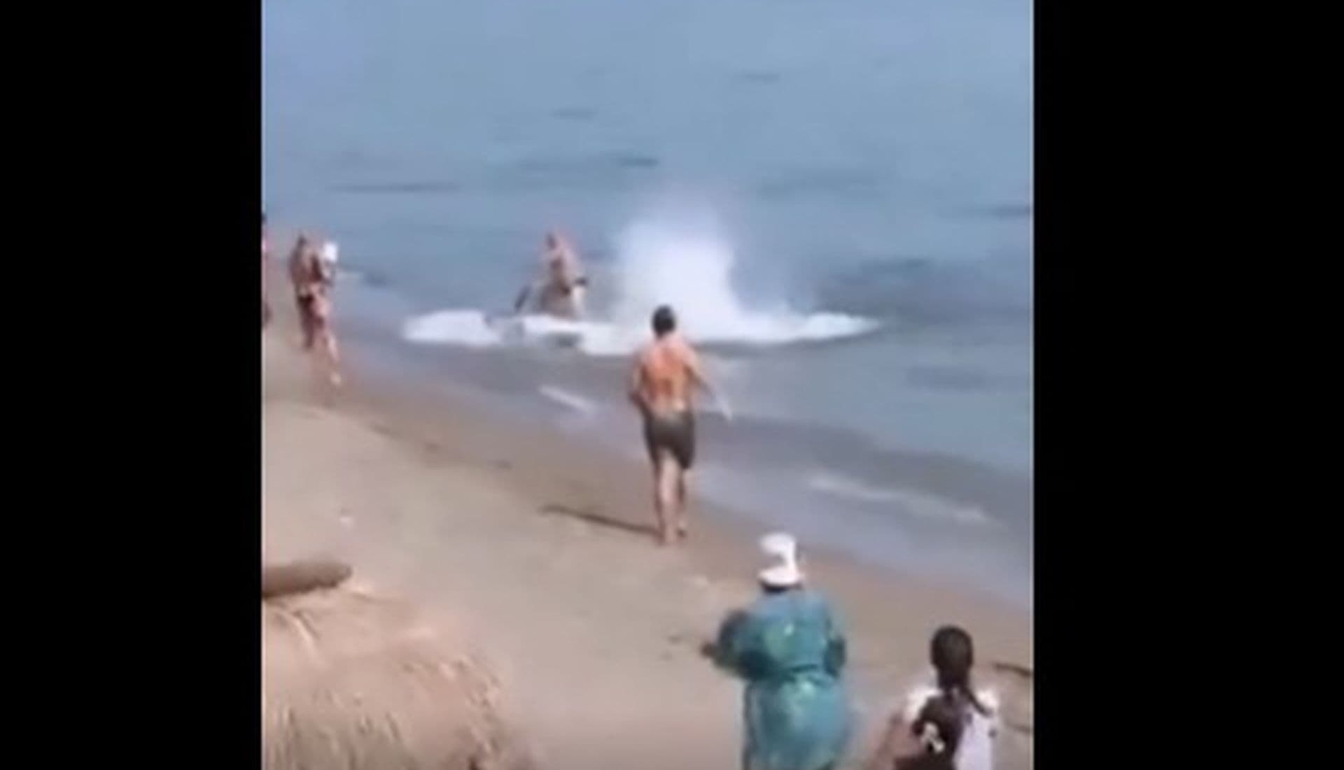 Plajă pe litoralul mediteranean spaniol, cu palmieri și promenadă