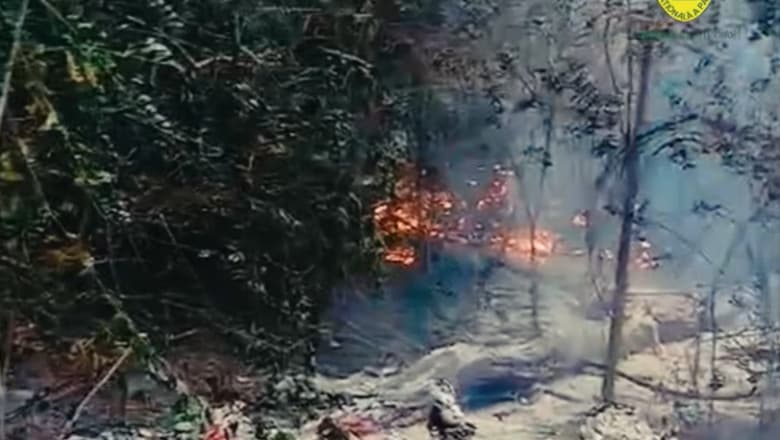 Incendiu de pădure în județul Tulcea
