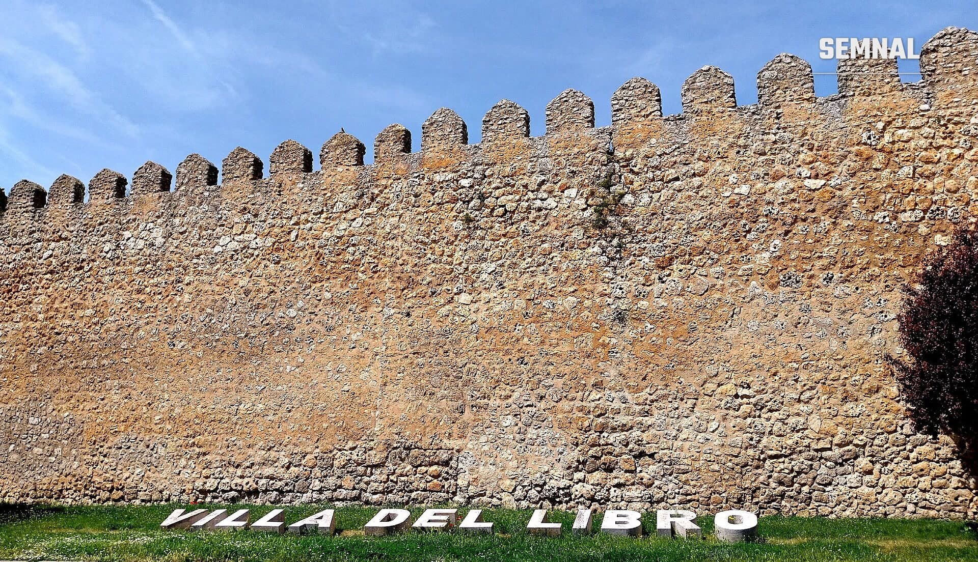 Urueña, villa del Libro, provincia Valladolid și are mai puțin de 200 de locuitori.  Și are zece librării.