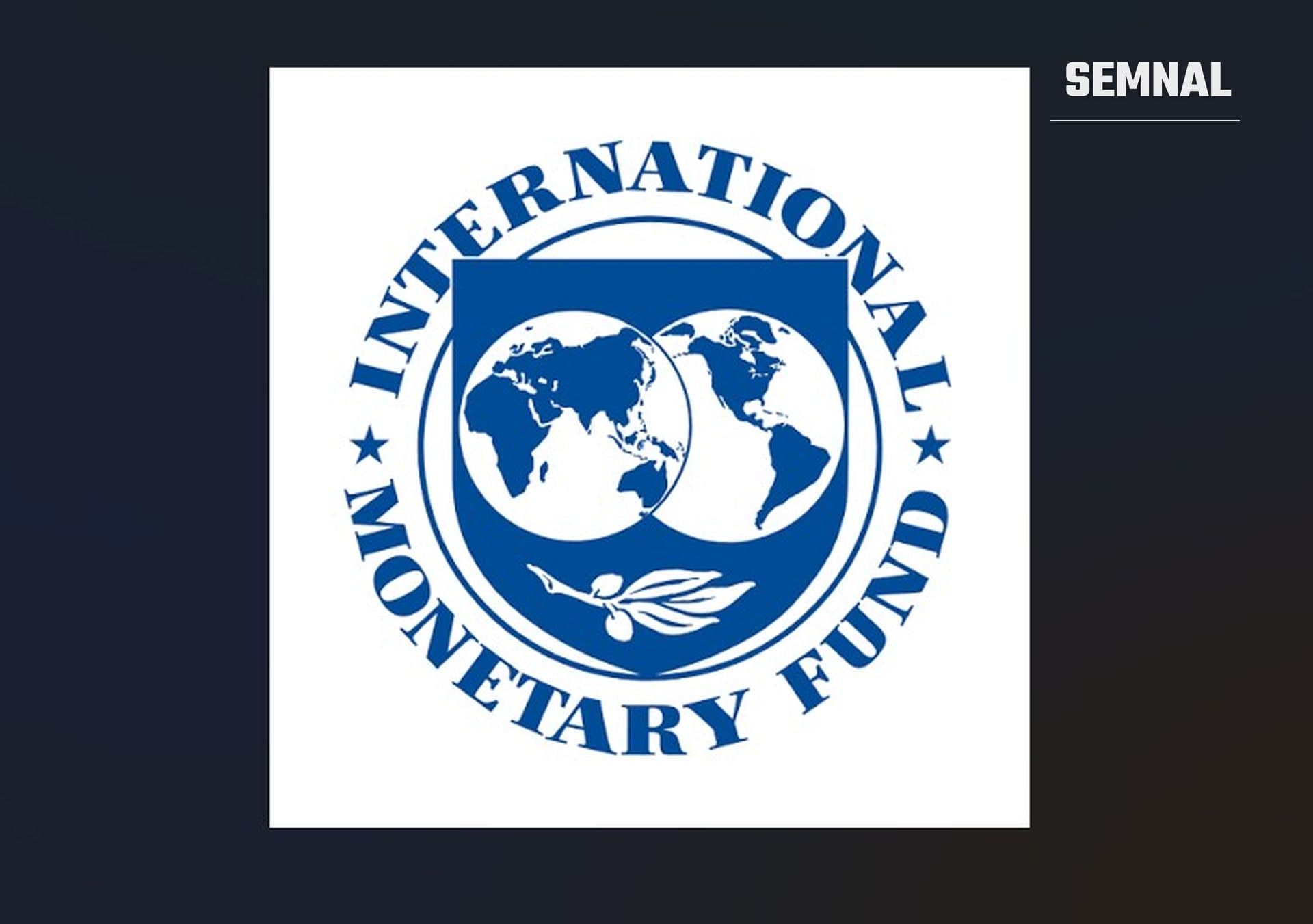 In imagine este sigla oficială a FMI.