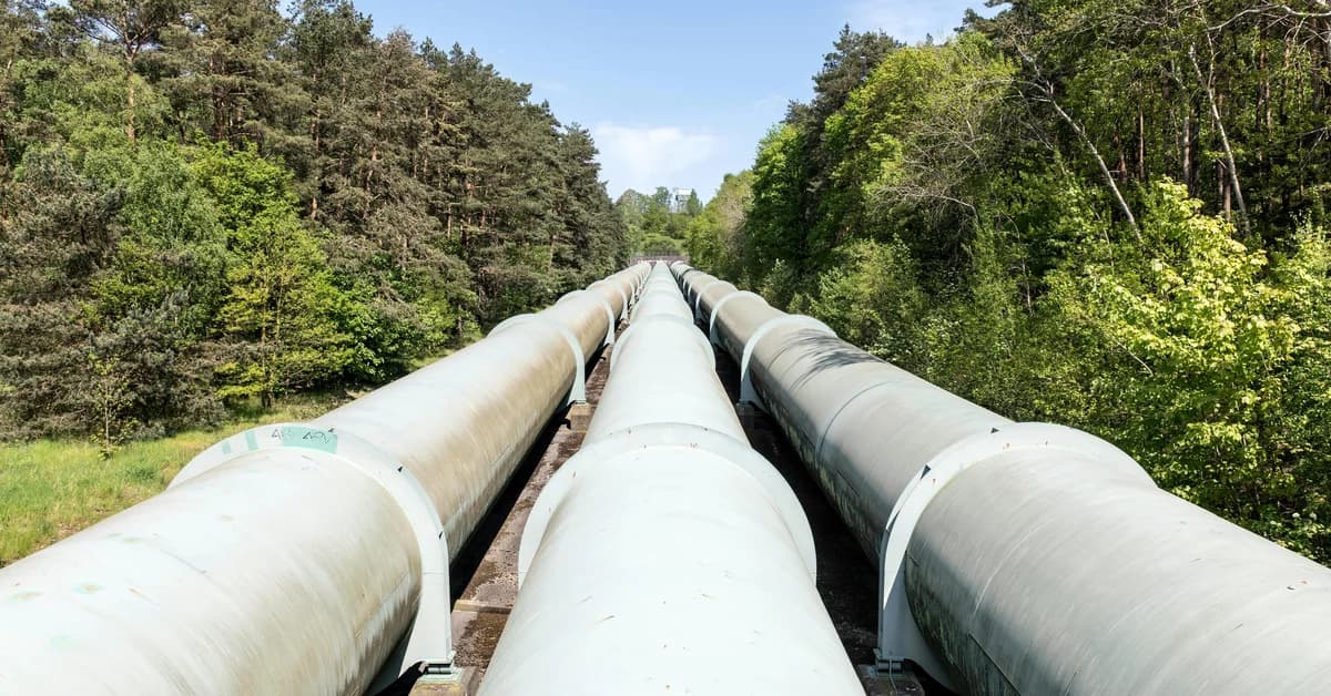 Conducte mari de gaz care traversează o zonă împădurită, cu vegetație de ambele părți. Cer senin.