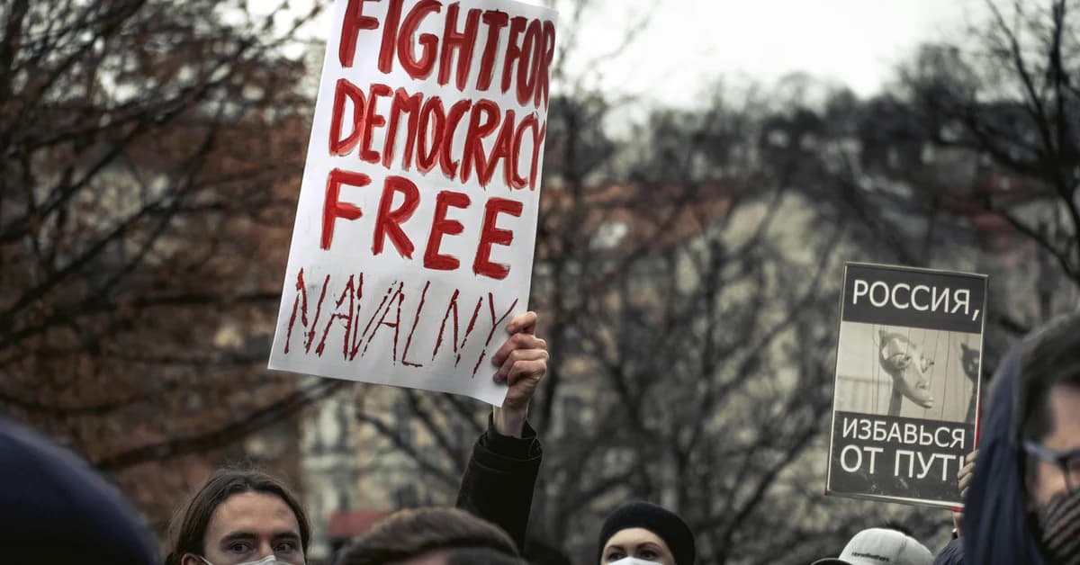 Imaginea arată un grup de protestatari, un bărbat ținând o pancartă cu mesaj pro-democrație scris cu roșu.