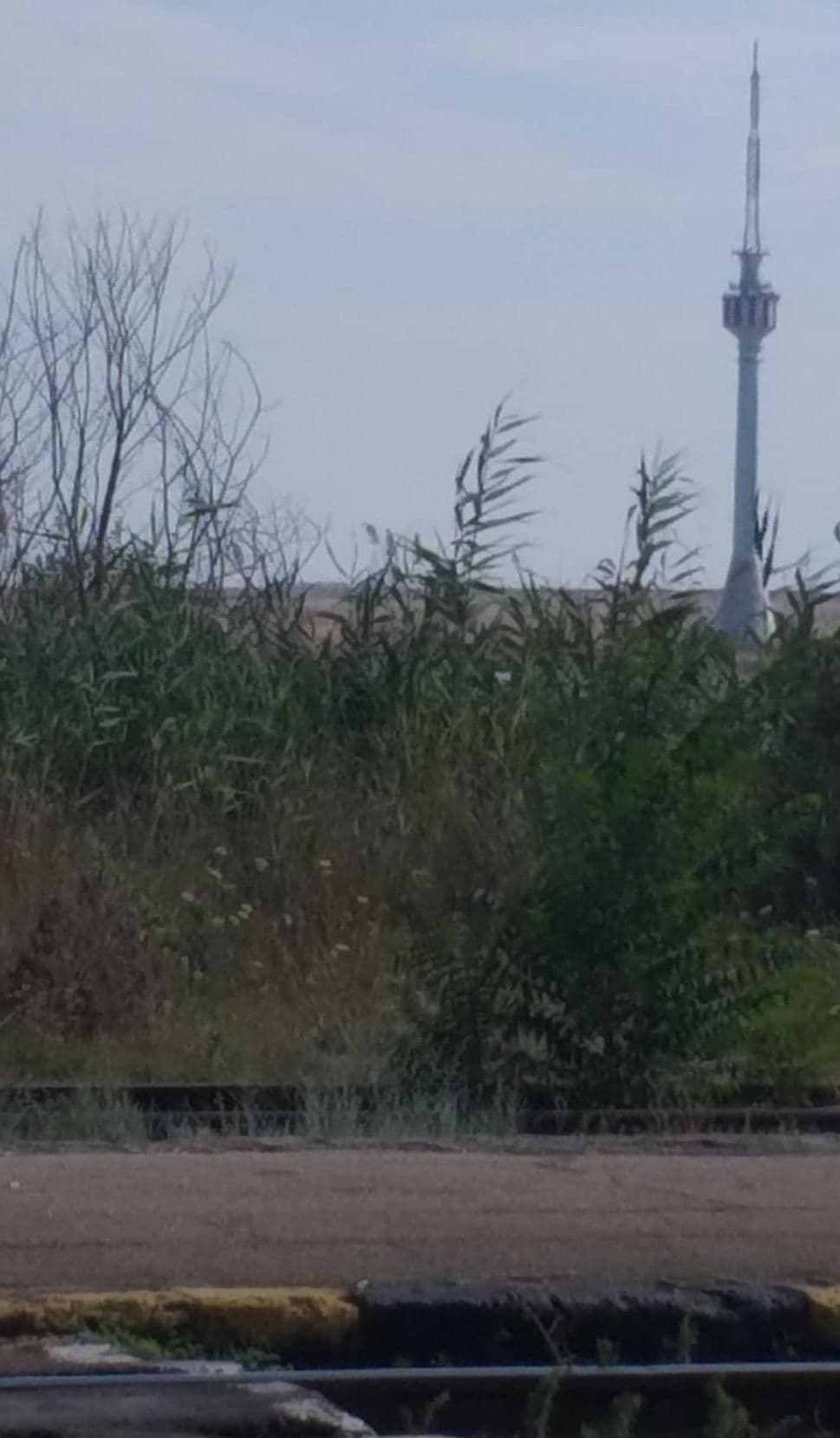 Izmir, băiatul care bea apă din cer
