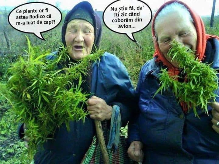 tablouri PSD