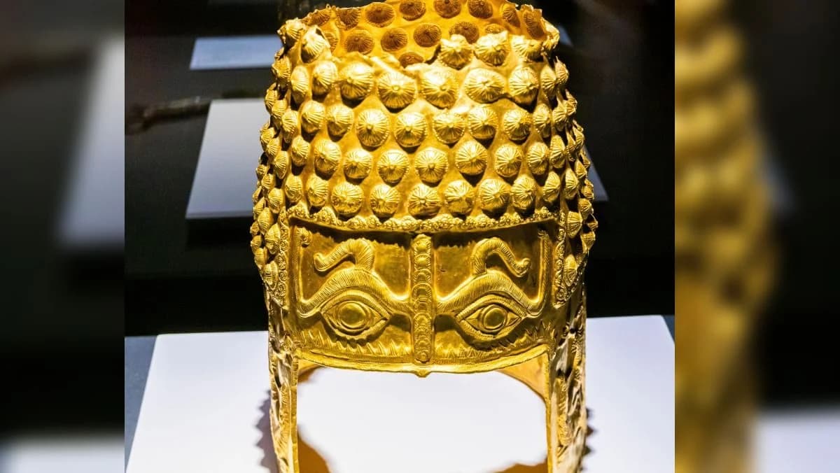 coif cotofenesti