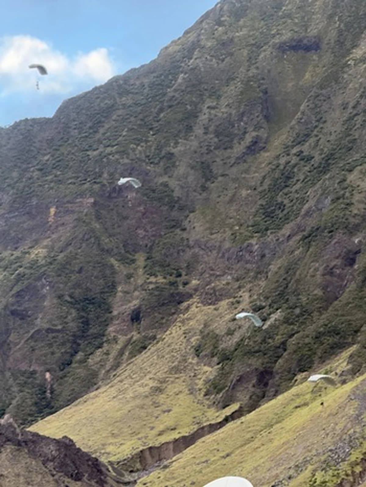 Cum a ajuns hantavirusul pe Tristan da Cunha: lanțul cauzal complet al celui mai izolat focar din Atlanticul de Sud
