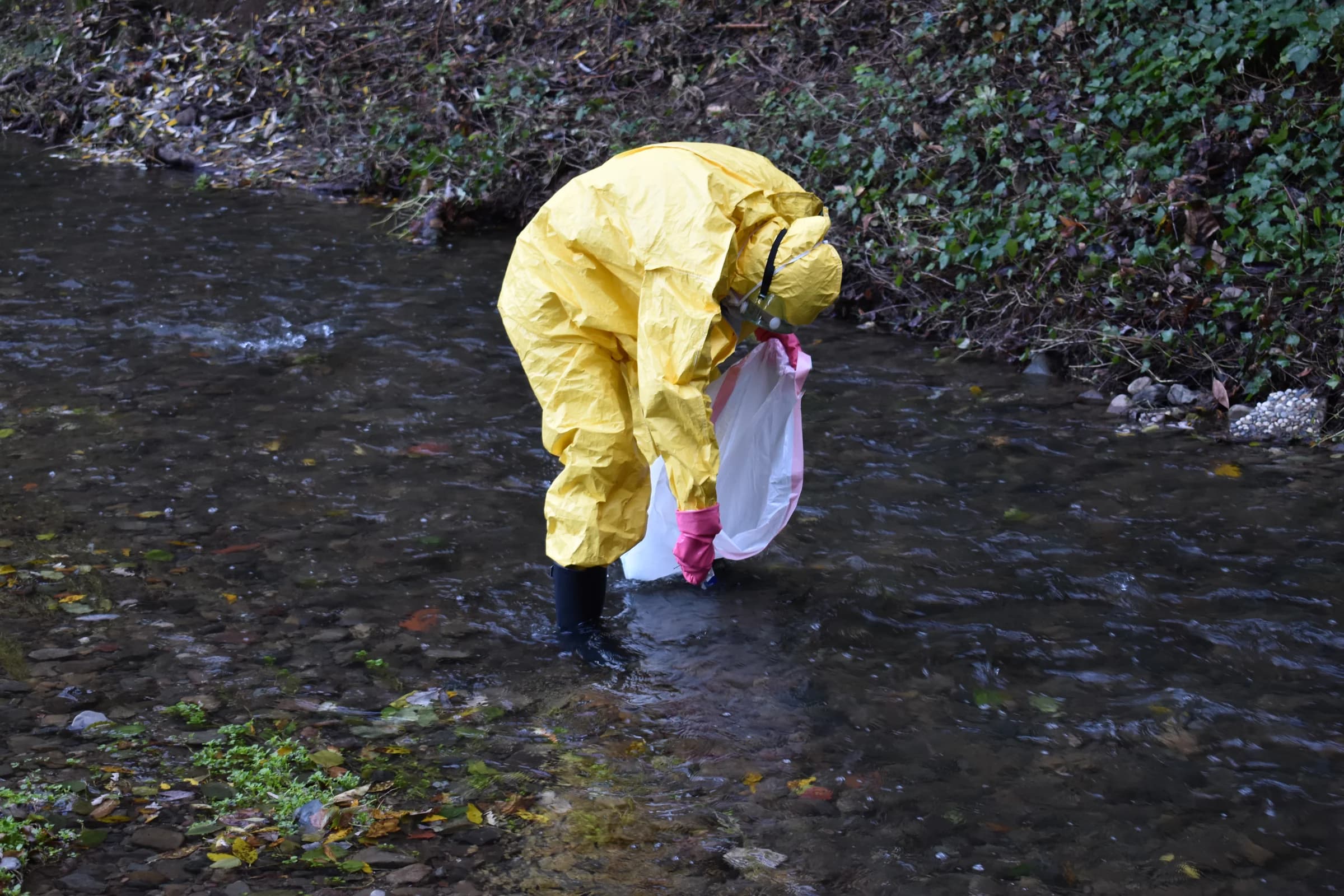Creek Cleanup