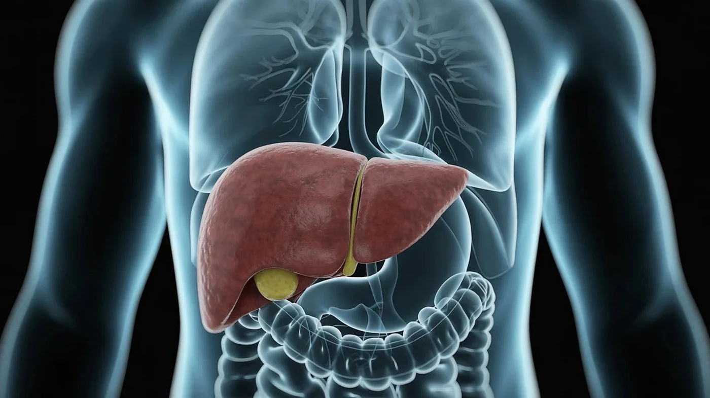 Dieta care poate reduce grăsimea hepatică