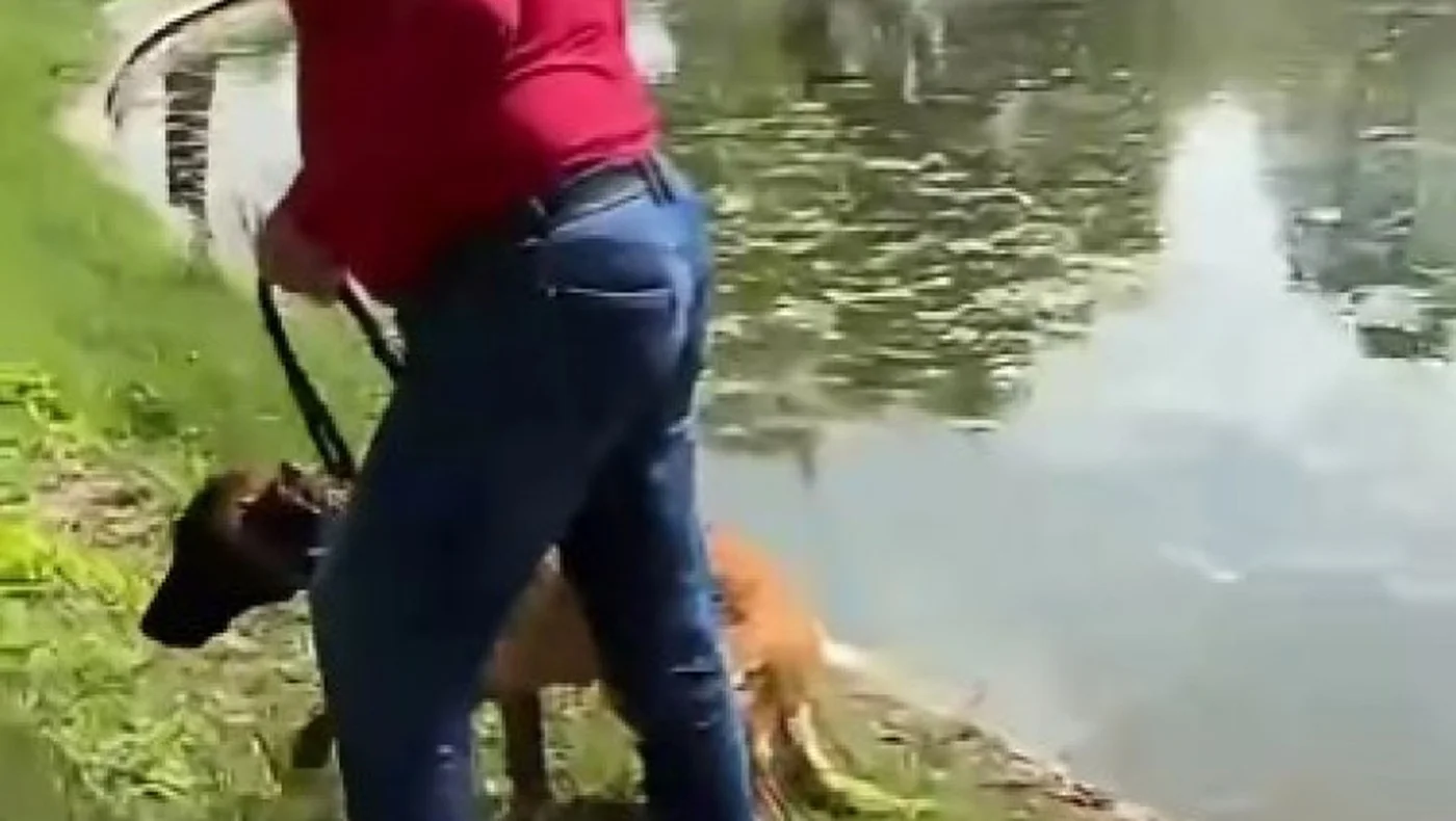 Dosar penal după ce un bărbat a încercat să-și înece câinele