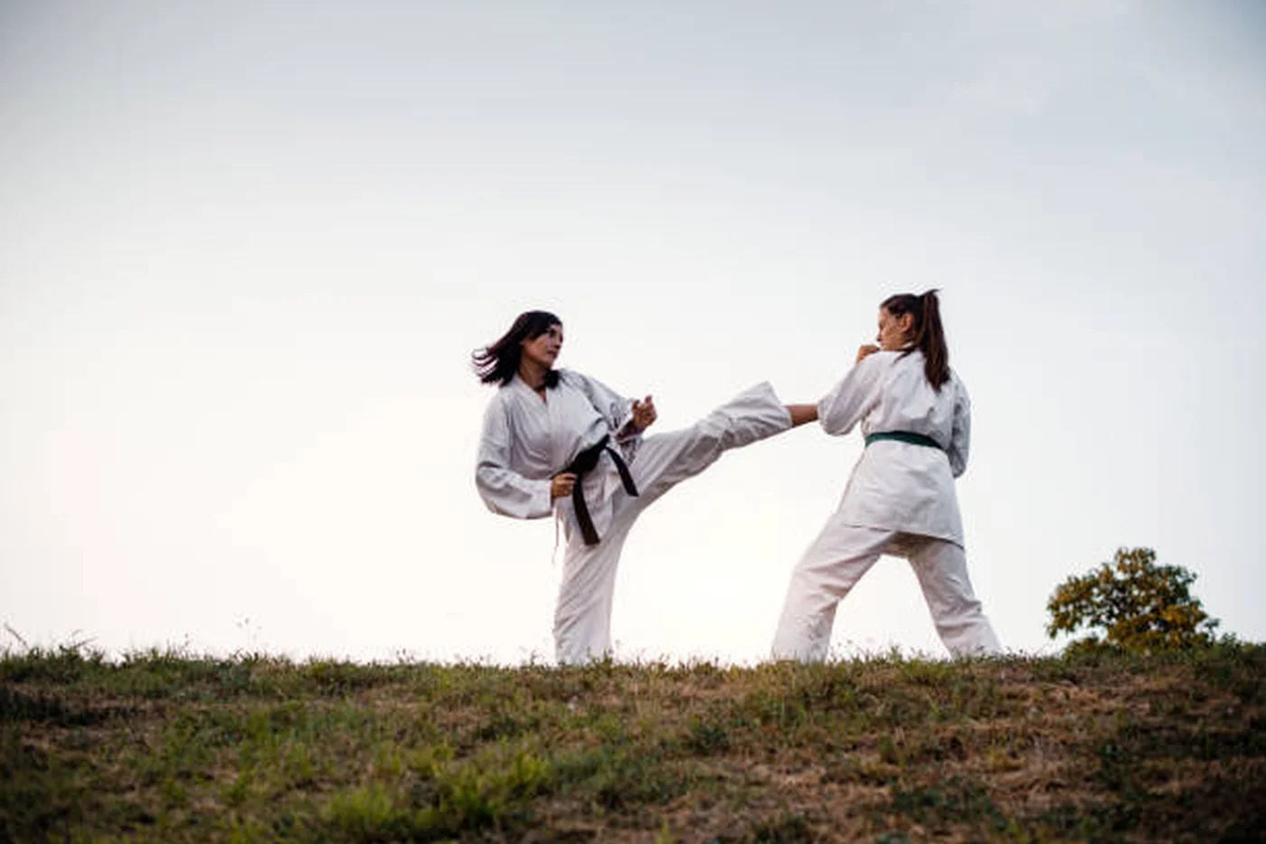 Cătălina Cocioran a câștigat trei medalii la cupa mondială de kempo