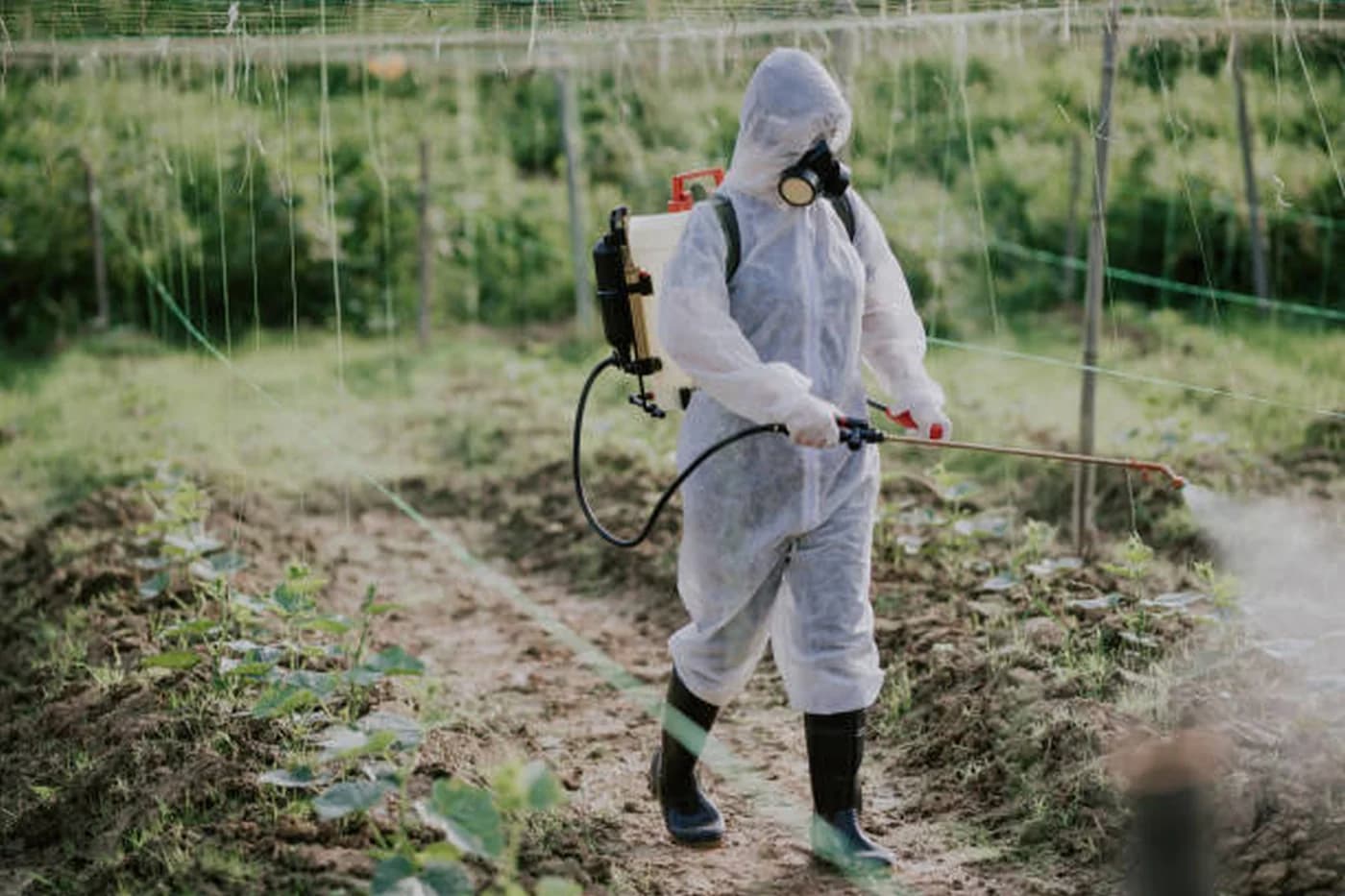Polițiștii au confiscat pesticide ilegale la Petroșani