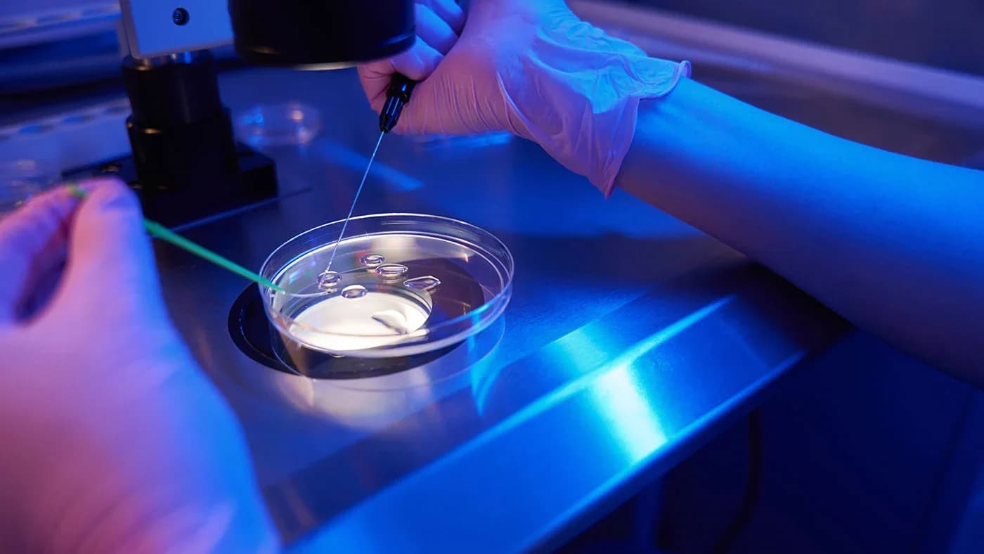 Cercetător în laborator care prepară soluție în placă Petri cu pipetă, sub lumină albastră ultravioletă, ilustrând cercetarea medicamentelor ARNm și modificările chimice în biologia moleculară.