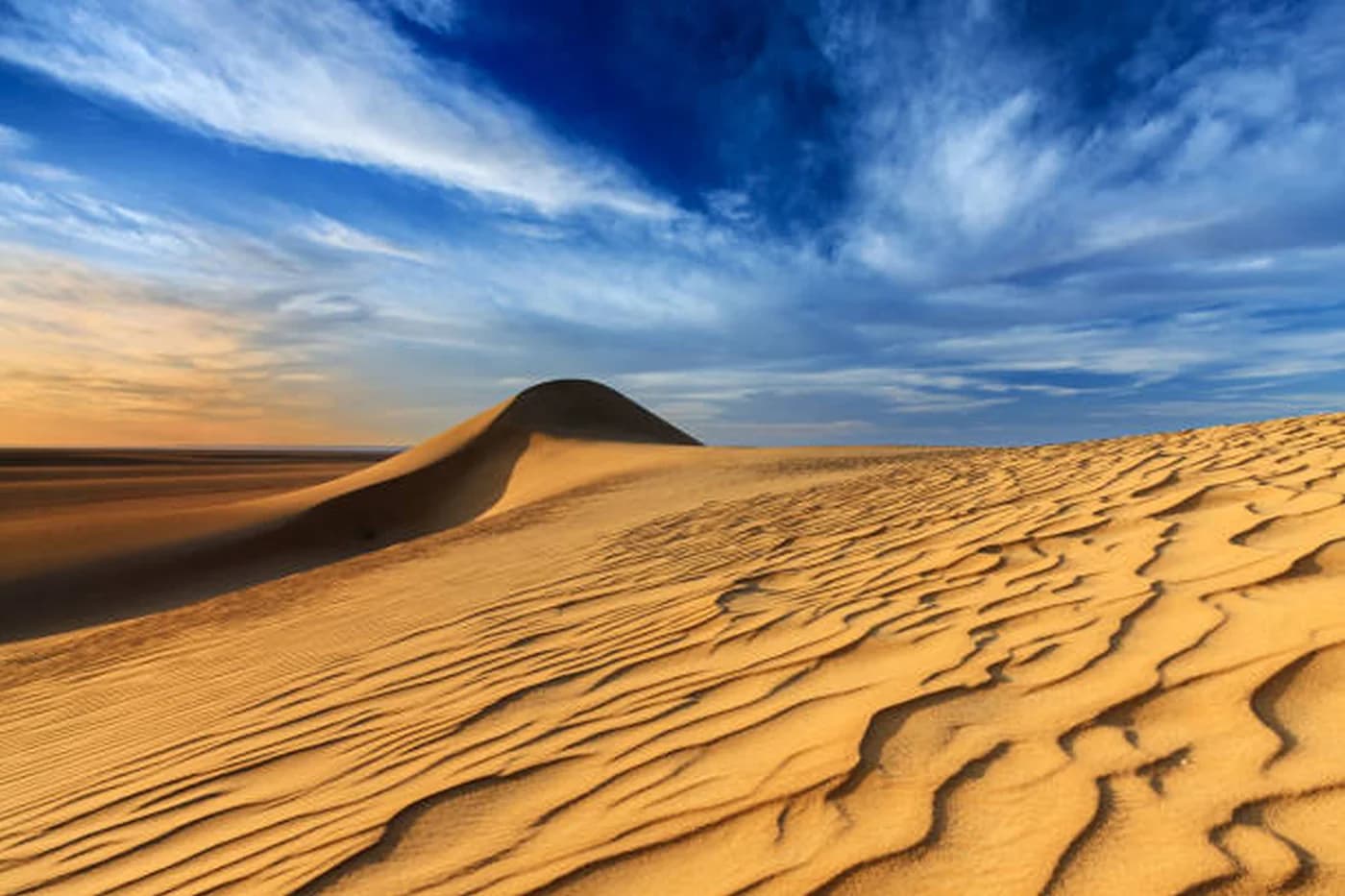 49 de oameni au murit de sete în Sahara după o defecțiune