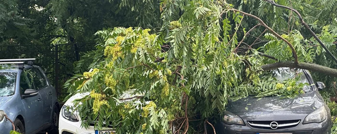 București, sub avertizare meteo: vijelii și ploi