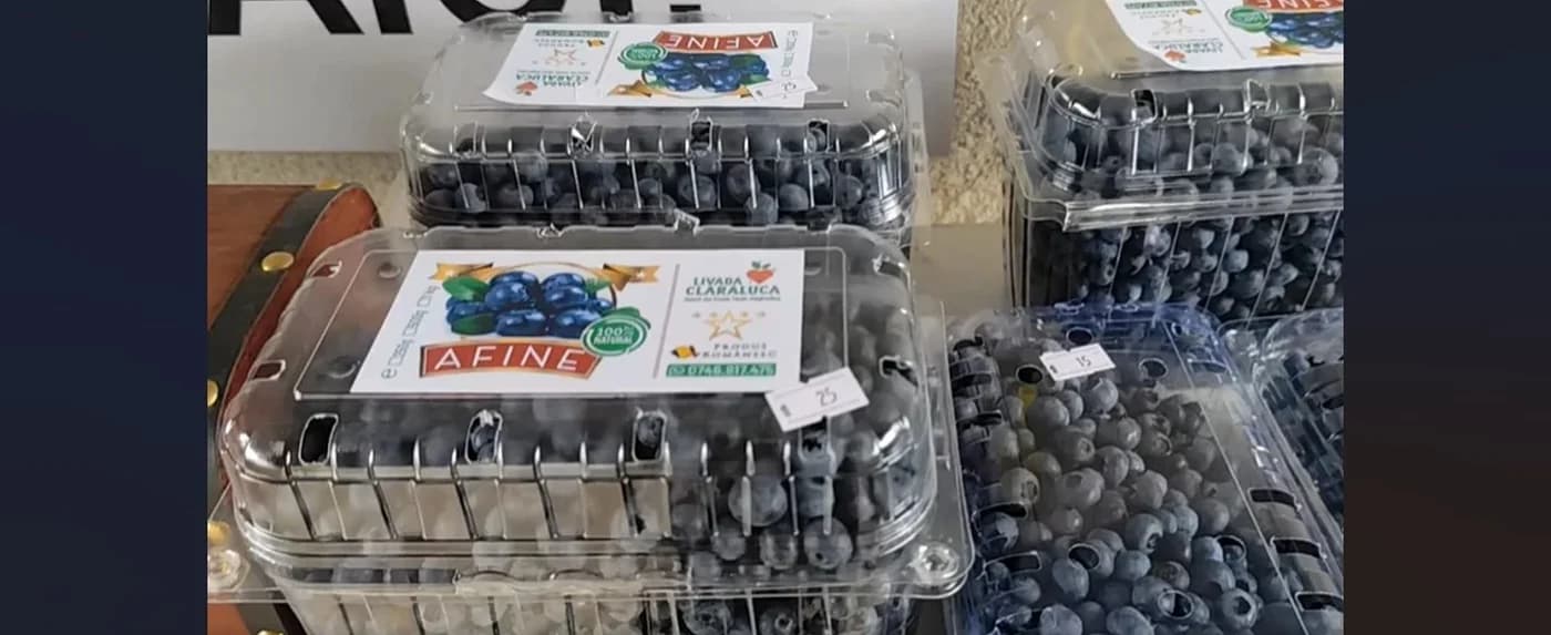 Magazinul fără vânzător din Maramureș, bazat pe încredere