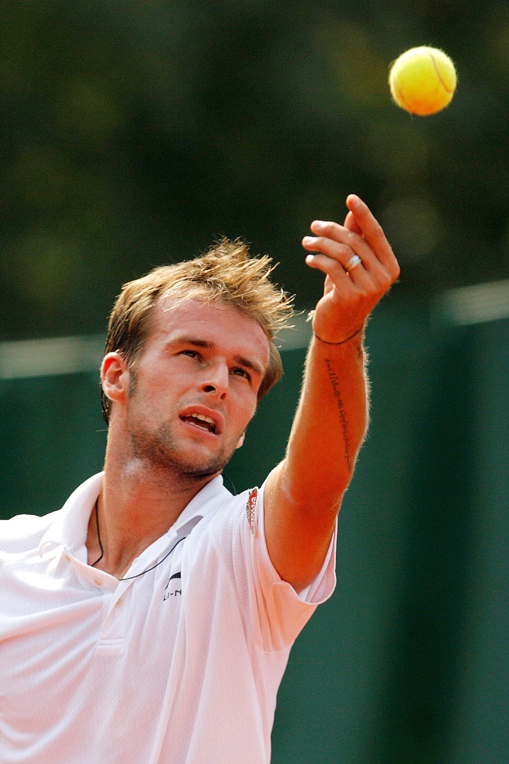 Cupa Davis: Victor Hanescu a jucat perfect, Adrian Ungur a revenit spectaculos