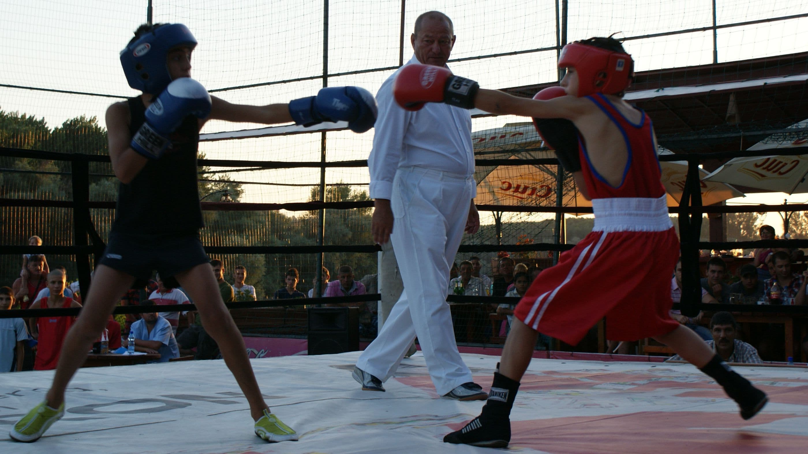 Calarasi - Campionatul national de box pentru cadeti reuneste 126 de sportivi la start