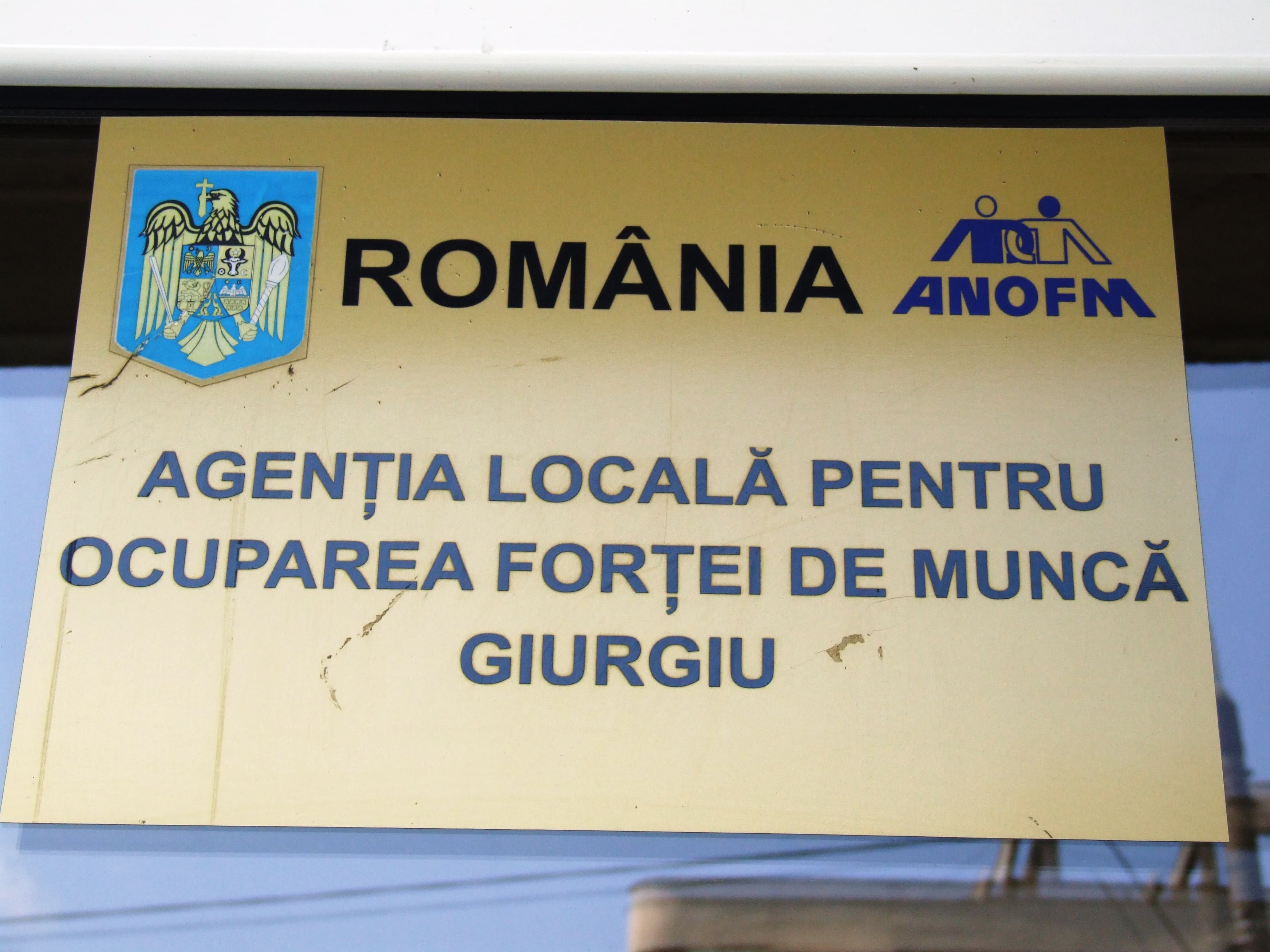 Cum ii ajuta Contractul de ucenicie pe tineri