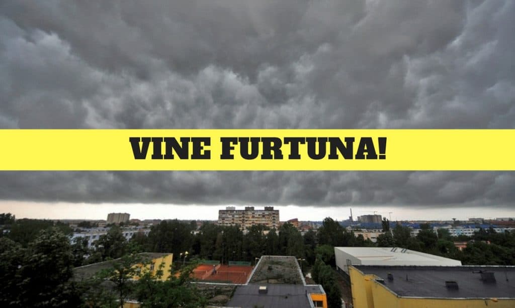 Cod galben de furtună — Natură