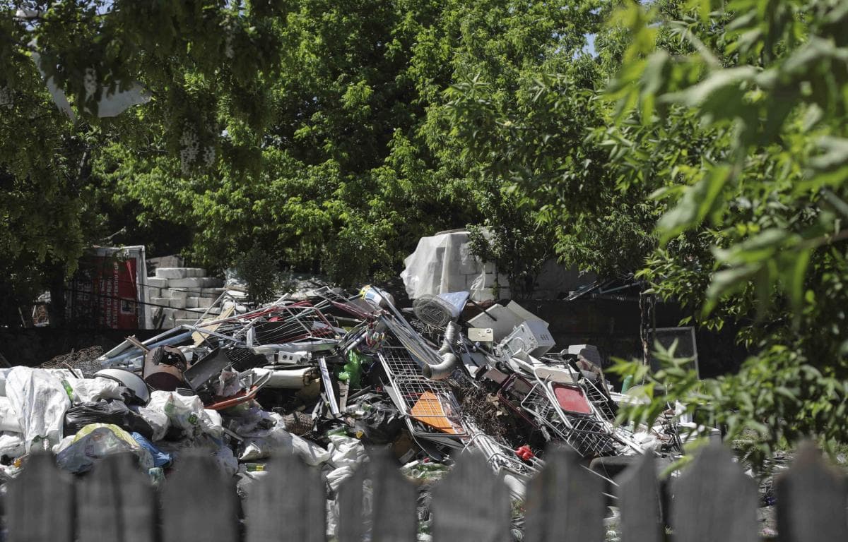 Autorităţile au aplicat amenzi de 168.000 de lei în urma controalelor de la Sinteşti — Natură