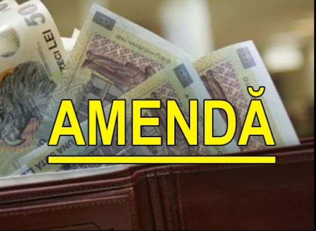 amenda_56004600