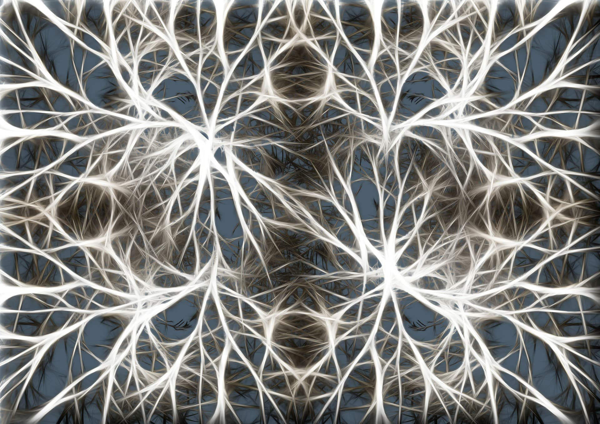 neuroni