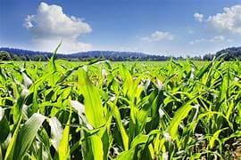 Peste 500 de fermieri vor beneficia de finanțare pentru achiziționarea de utilaje agricole noi